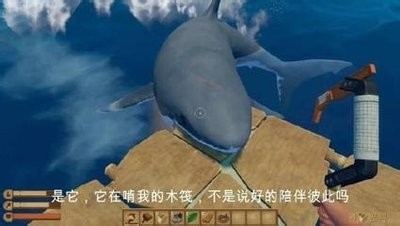 202210290719582619680019