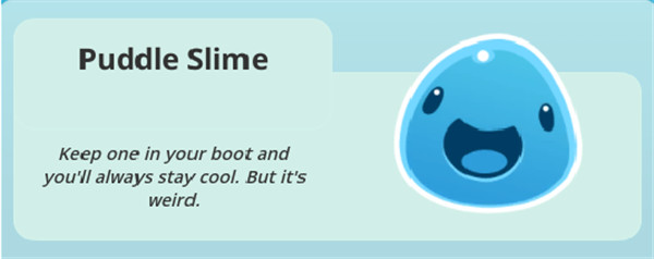 202210290724005597130014