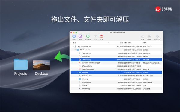 202210290732443386990004