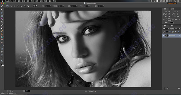 PixelStyle for Mac破解版