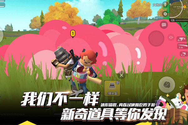 202210290741134185050000