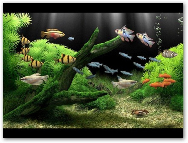 202210290904526495580000