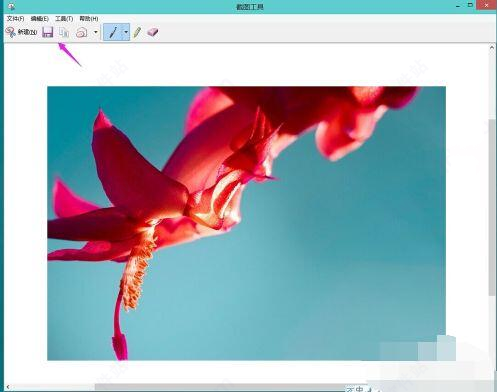 202210290910020944330034