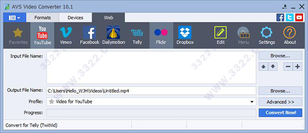 AVS Video Converter破解版