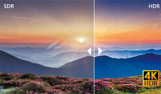 202210291042372142210013