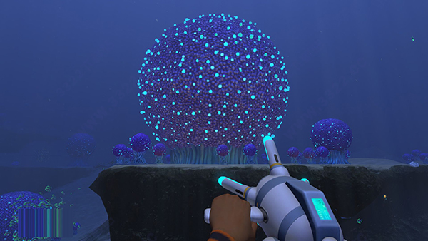 202210291240485342050002