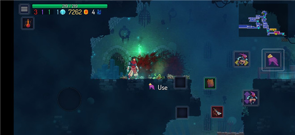 202210291242058925420010