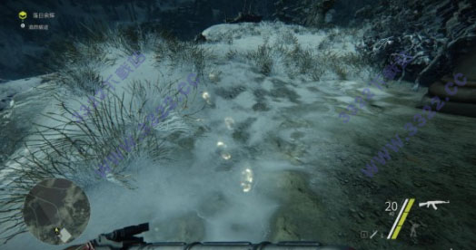 202210291247459491040005