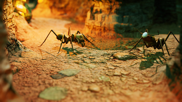 202210291249136522870014