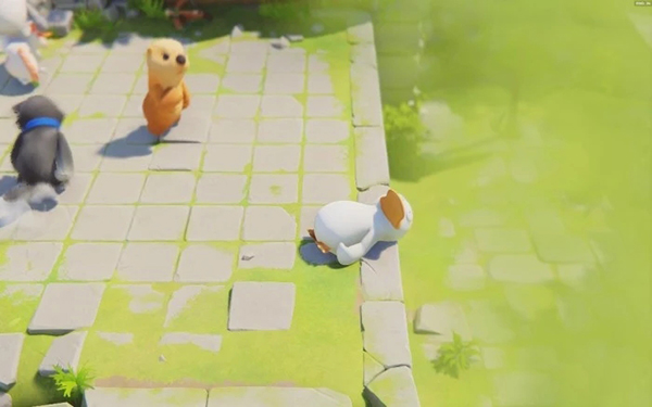 202210291258469367200010