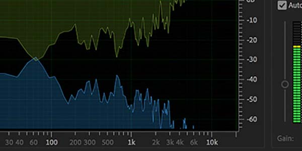 202210291306437852030020