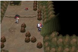 202210291316592806650013