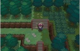 202210291316599682580015