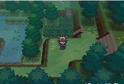 202210291317004626670016