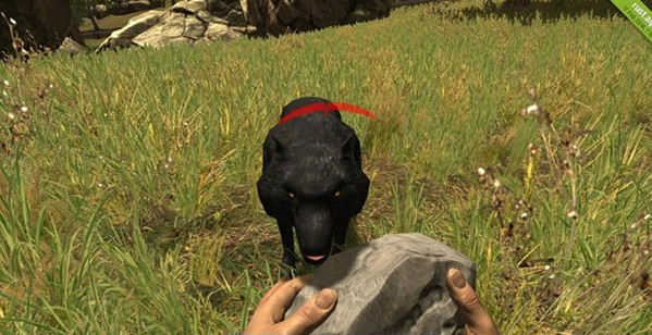 202210291330225080280004