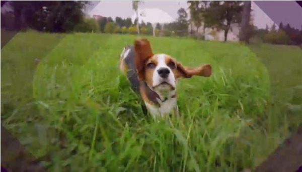 202210291330467584600017