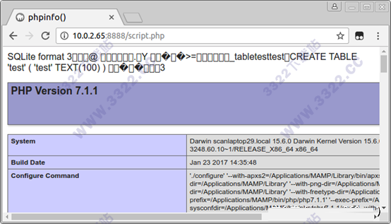 202210291338047753830010