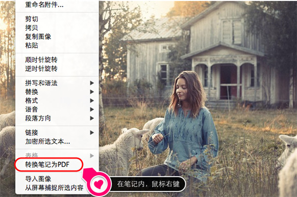 202210291350101676090006