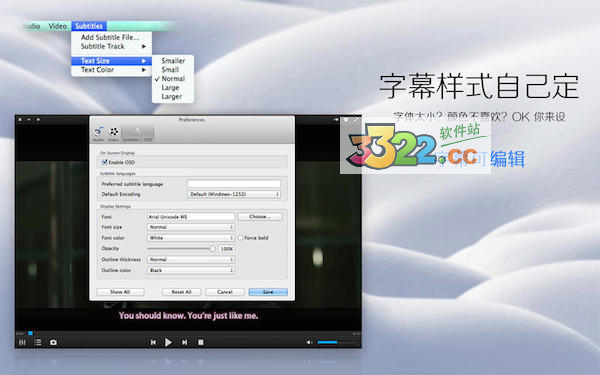 202210291353518810040002