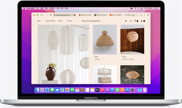 202210291355229723230003