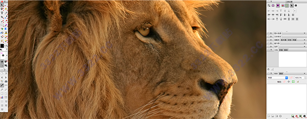 PhotoLine 20 Mac 破解版