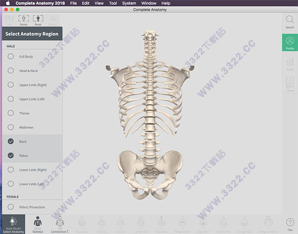 Complete Anatomy 2018 for Mac破解版