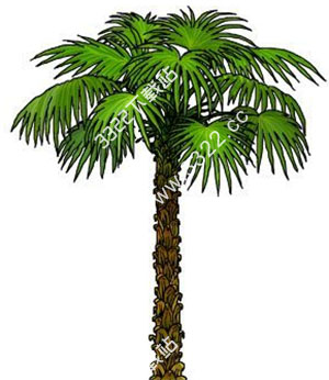 202210291422146470650016