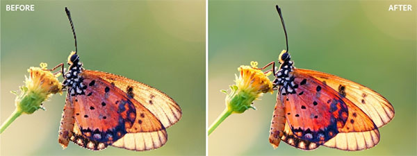 202210291432386878970004