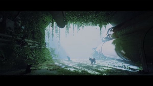 202210291440493010450005