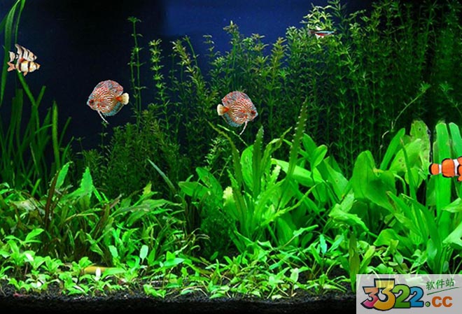 202210291448464994290000