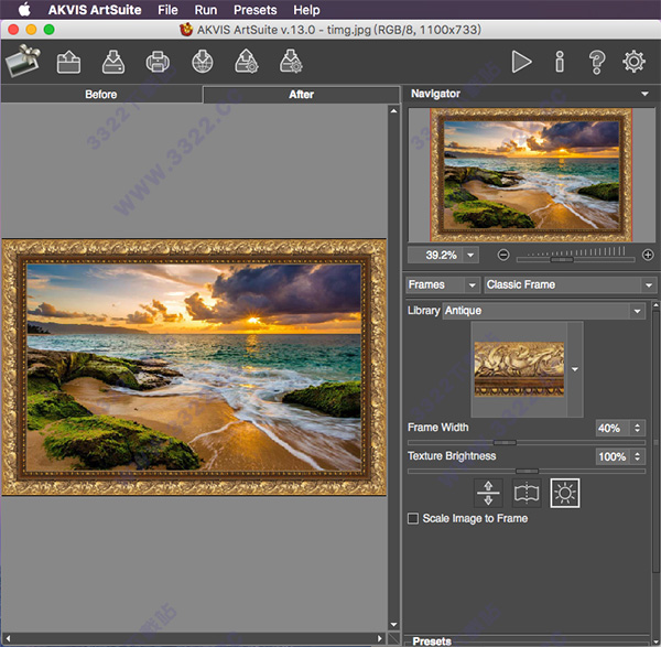 AKVIS ArtSuite for Mac破解版