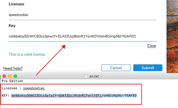 202210291532044545950004