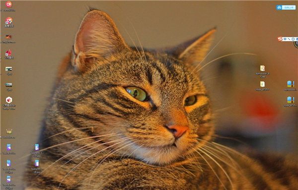 202210300150445170670003