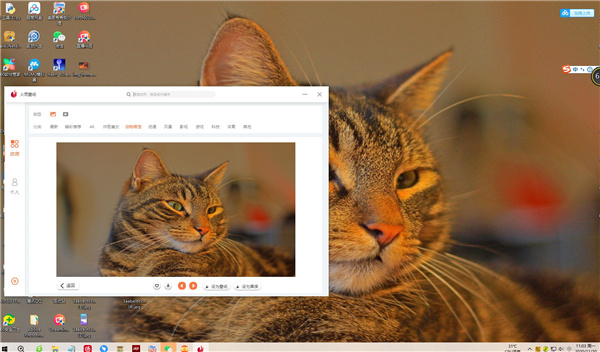 202210300150448943590004