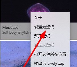 202210300150501464090003
