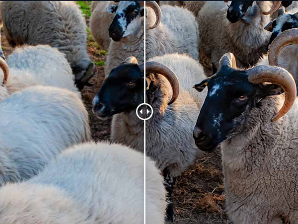 202210300215400087860010