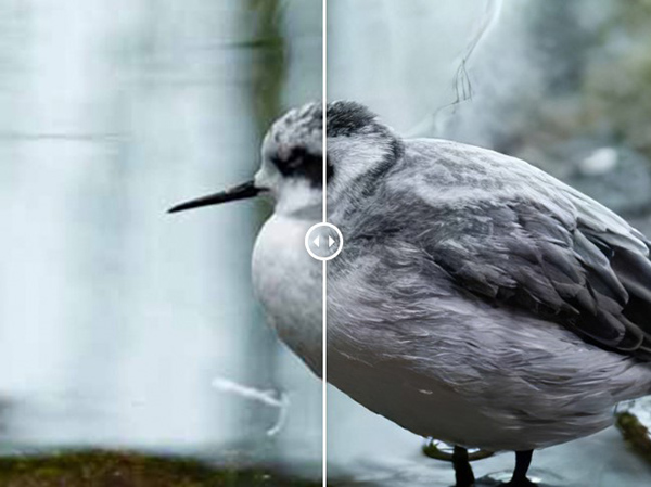 202210300215403534420011