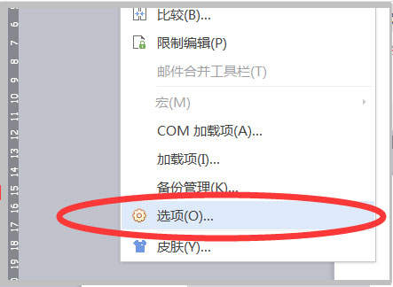 202210300217009725930013