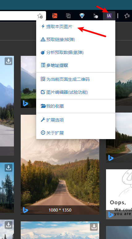 202210300248174301520011