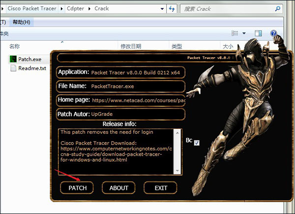 202210300259354843130006