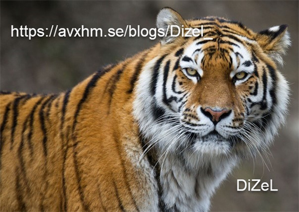 202210300338262575470004