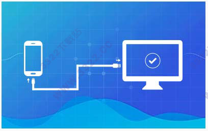 202210300345376523560001