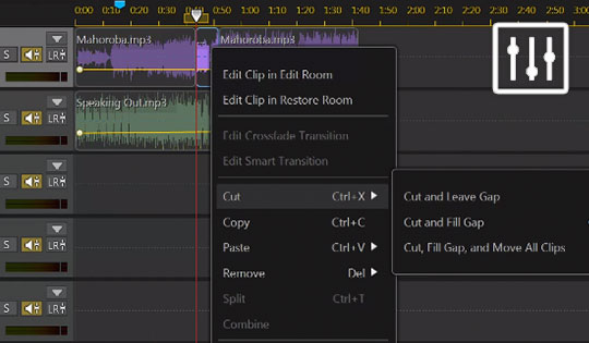 202210300416418434600017