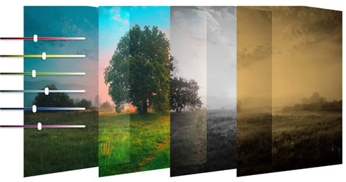 202210300424472625140009