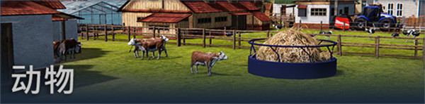 202210300437184721560006