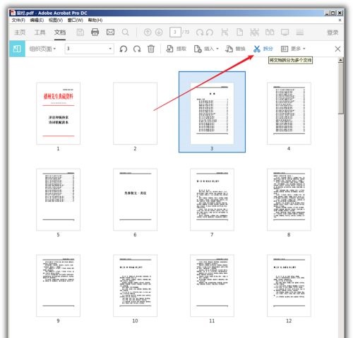202210300438216934020027