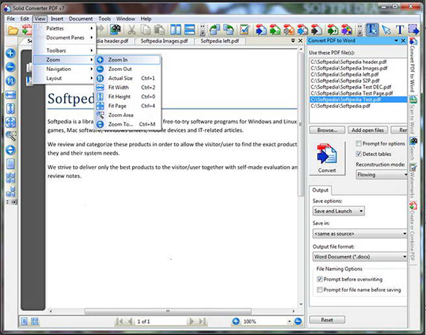 Solid Converter PDF注册机