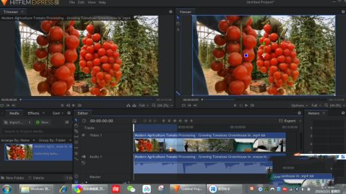 202210300511215930760007