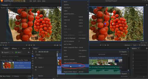 202210300511220652220008