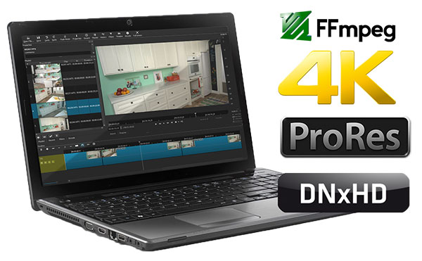 202210300512597718060001